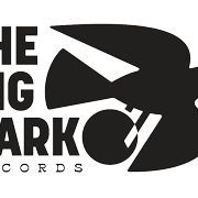 Logo for The Big Dark Records featuring a stylized black bird in flight with the company name in large bold text to the left and the word "Records" below.